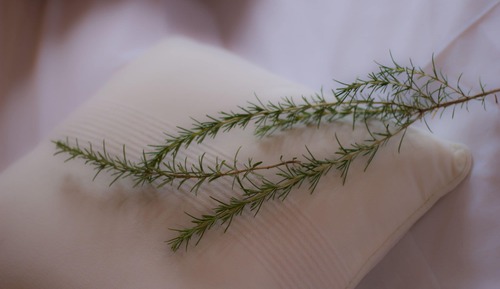 Habitación individual básica, vistas a la montaña