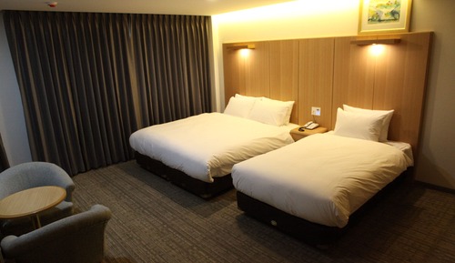 Habitación estándar con 2 camas individuales