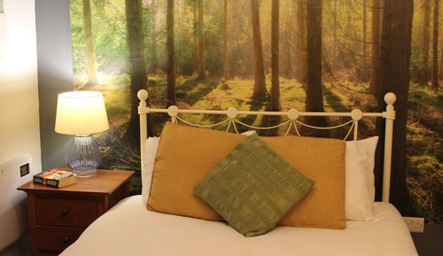 Estudio superior, baño privado (Jungle)