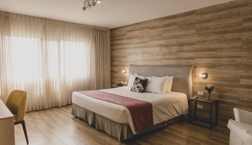 Suite estudio junior