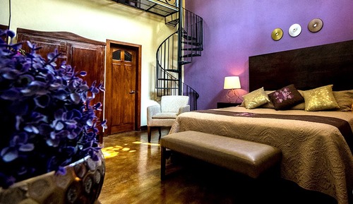 Suite junior, 1 cama de matrimonio grande, vistas al jardín, junto a la piscina (KAMOJTI)