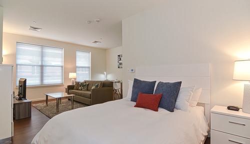 Estudio de lujo, 1 cama de matrimonio con sofá cama