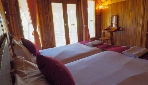 Habitación Deluxe con 1 cama doble o 2 individuales