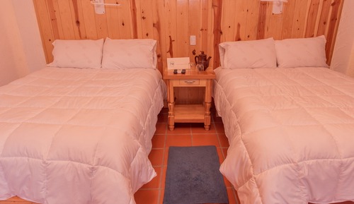 Habitación cuádruple familiar