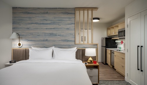 Estudio, 1 cama de matrimonio grande con sofá cama (Mobility Accessible, Roll-in Shower)