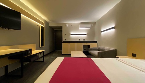 Suite estudio Confort
