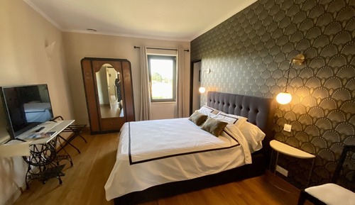 Habitación Deluxe doble, baño privado, vistas a la piscina (Rétro)