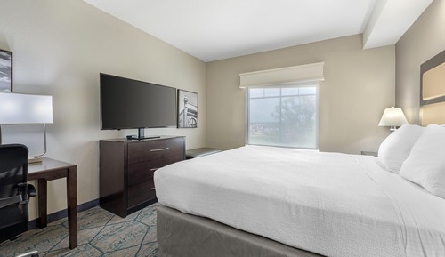 Suite, 1 cama de matrimonio grande, frigorífico y microondas (with Sofabed)