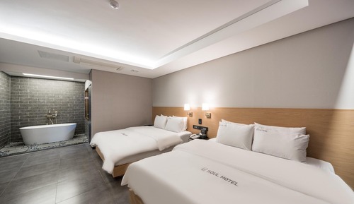 Room (VVIP (Netflix personal account requir)