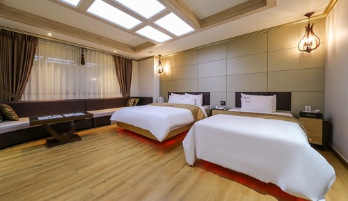 Room (VIP Twin (equipped with styler and ma)