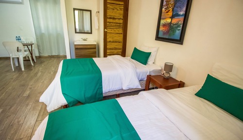 Habitación Deluxe con 2 camas individuales, vistas al jardín