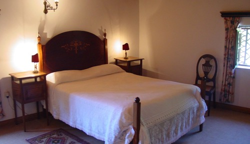 Habitación Confort con 1 cama doble o 2 individuales