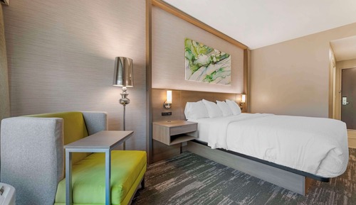 Habitación estándar, 1 cama de matrimonio grande, no fumadores