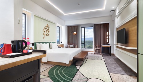 Habitación ejecutiva, 1 cama de matrimonio grande