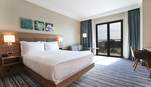 Habitación Deluxe doble