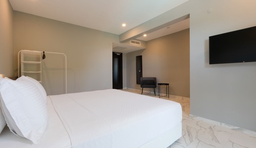 Estudio Premium, baño privado, vistas al jardín