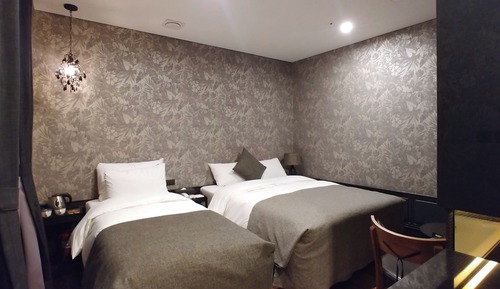 Habitación Deluxe con 2 camas individuales