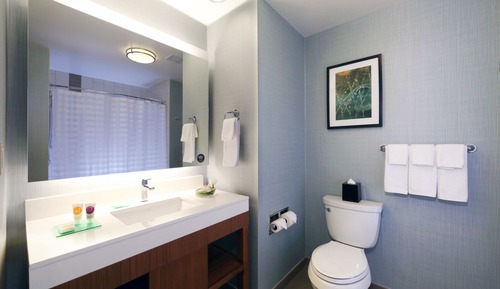 Habitación, 1 cama de matrimonio grande, accesible para personas con discapacidad (Roll-in Shower)