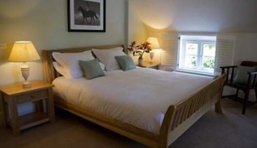 Habitación ejecutiva doble, baño privado (Rooms)