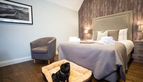 Habitación doble, baño privado