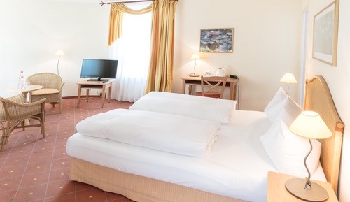 Habitación estándar, 1 cama doble