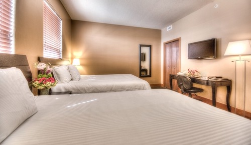 Suite familiar, 1 habitación