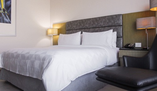 Habitación estándar, 1 cama de matrimonio grande
