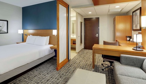 Habitación, 1 cama de matrimonio grande con sofá cama