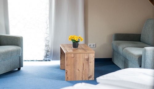 Estudio superior, 1 cama doble con sofá cama, baño privado, vistas a la ciudad