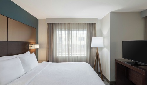 Estudio, 1 cama de matrimonio grande con sofá cama