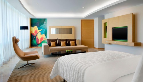 Suite ejecutiva, 1 cama doble