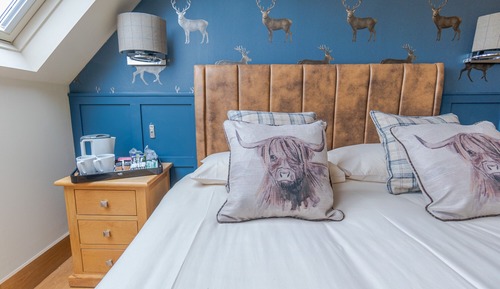 Exclusive Double Room, Ensuite (Themed king)