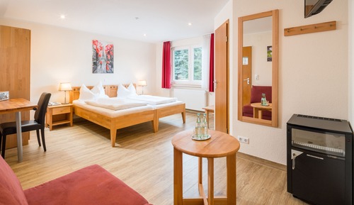 Habitación Confort con 1 cama doble o 2 individuales