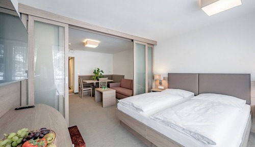 Habitación familiar, 2 habitaciones, balcón, vistas a la montaña (Hochwilde)