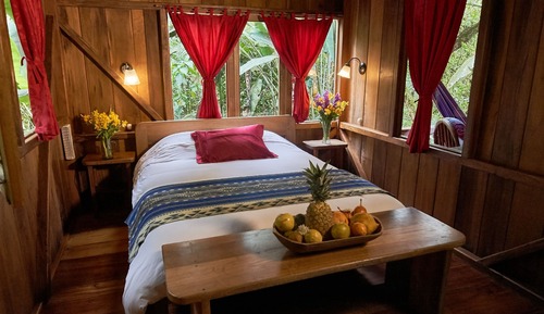 Suite estudio familiar