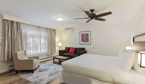 Habitación estándar, 1 cama de matrimonio grande con sofá cama, no fumadores