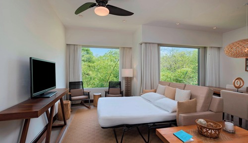 Suite superior, 1 habitación