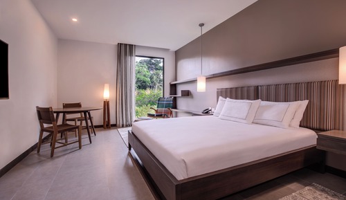 Habitación, 1 cama de matrimonio grande (Mobility & Hearing, Roll-in Shower)