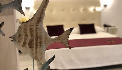 Habitación básica doble