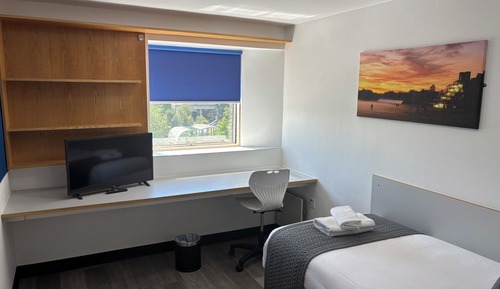 Habitación individual Premium