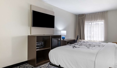 Habitación estándar, 1 cama de matrimonio grande, no fumadores