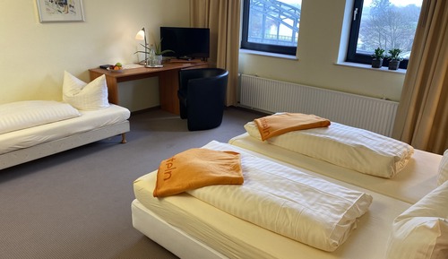 Habitación básica doble, vistas al río