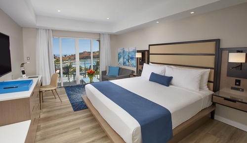 Habitación individual Premium, 1 cama de matrimonio grande