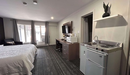 Habitación estándar, 1 cama de matrimonio grande, no fumadores, cocina básica (with Single Sofabed)