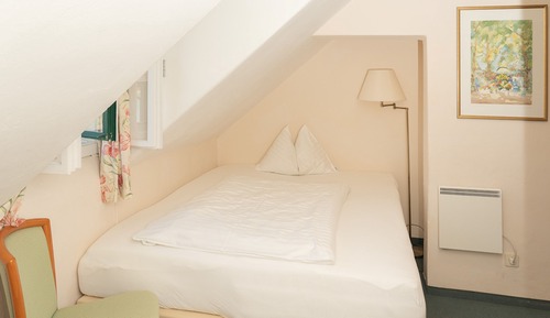 Habitación individual estándar, 1 cama individual, no fumadores, vistas al jardín