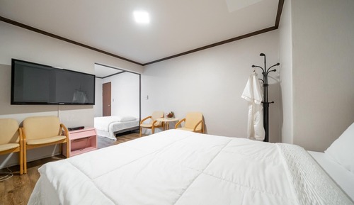 Room (VIP family room (1 queen bed 3 single)