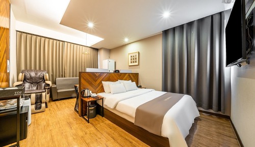 Room (VIP (massage chair air purifier batht)