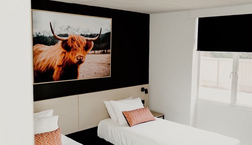 Estudio, 2 camas individuales