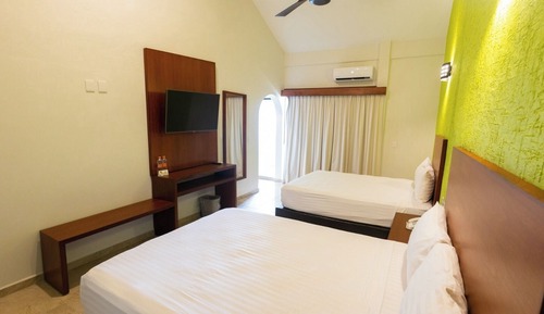 Habitación estándar, Se admiten mascotas