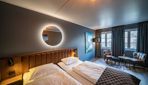 Habitación Deluxe con 2 camas individuales